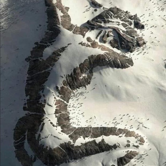 Meet your Posher, Lawrence - Picture 1 of 1